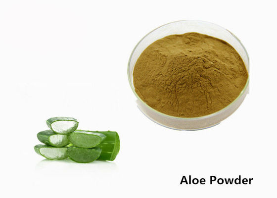China Pó cosmético do extrato da planta da folha de Barbadensis do aloés da categoria para a pele fornecedor