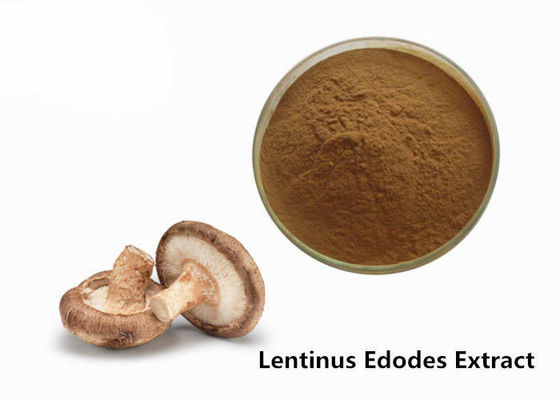 China Anti pó do extrato do cogumelo de Shiitake do produto comestível da fadiga fornecedor