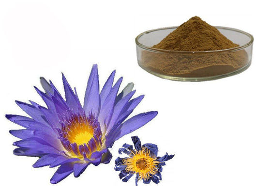 China Extratos ervais orgânicos azuis de Lotus de pó da flor de Caerulea do Nymphaea fornecedor