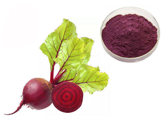 China Pó vegetal do extrato beterrabas vermelhas naturais do tumor do pigmento das anti fornecedor