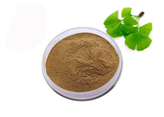 China Pó orgânico de Biloba da nogueira-do-Japão da categoria de USP fornecedor