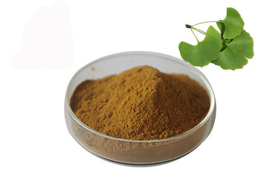China Pó de maioria de Biloba da nogueira-do-Japão da pressão sanguínea de Owering fornecedor