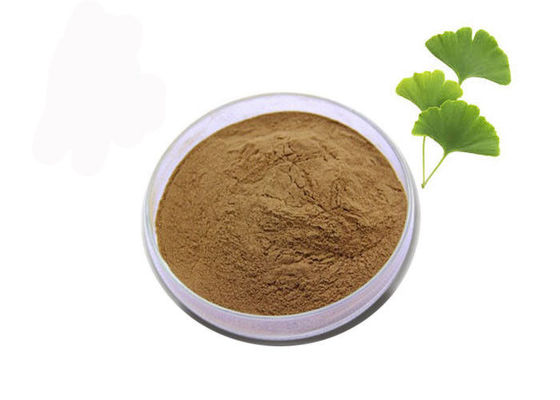 China Regule o extrato estandardizado Biloba da nogueira-do-Japão da gordura 24/6 do sangue fornecedor