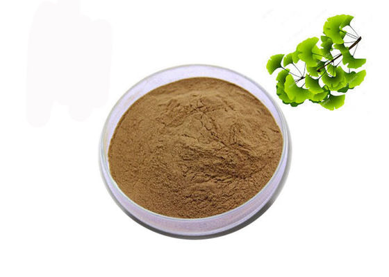 China Pó seco orgânico do extrato de Biloba da nogueira-do-Japão das folhas de CAS 90045-36-6 fornecedor