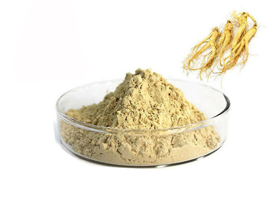 China Pó natural do extrato do ginsém da raiz farmacêutica de 80% Panax fornecedor