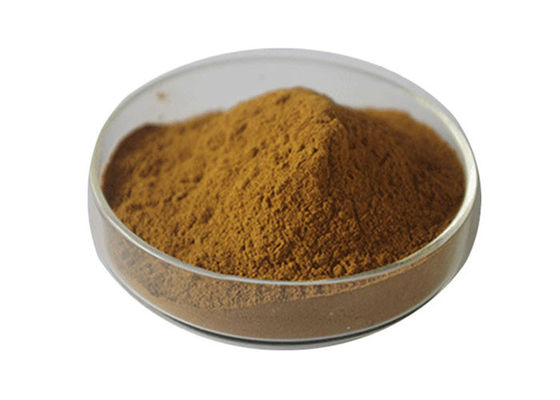 Pó orgânico de Biloba da nogueira-do-Japão da categoria de USP fornecedor