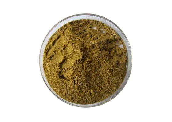 Pó nutritivo do extrato da folha de Biloba da nogueira-do-Japão de Brown do produto comestível fornecedor