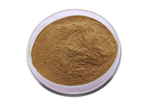 Pó nutritivo do extrato da folha de Biloba da nogueira-do-Japão de Brown do produto comestível fornecedor