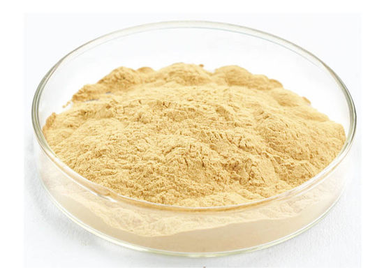 Pó do extrato do ginsém de Panaxoside do produto comestível para produtos da saúde fornecedor