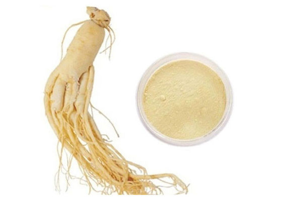 Extrato puro Siberian orgânico do ginsém da raiz 30% 80% Ginsenosides fornecedor