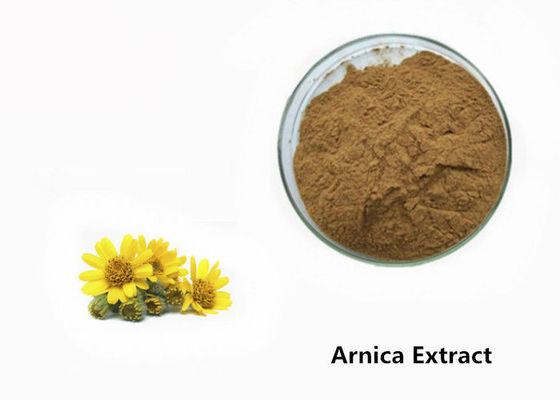 Pó do extrato da planta da arnica fornecedor