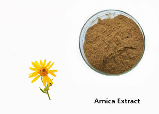 Pó do extrato da planta da arnica fornecedor