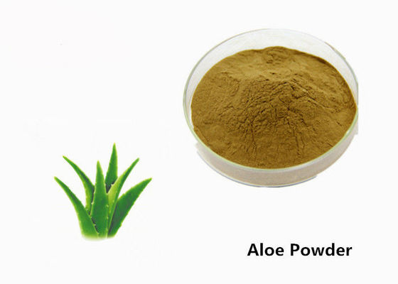 Pó cosmético do extrato da planta da folha de Barbadensis do aloés da categoria para a pele fornecedor