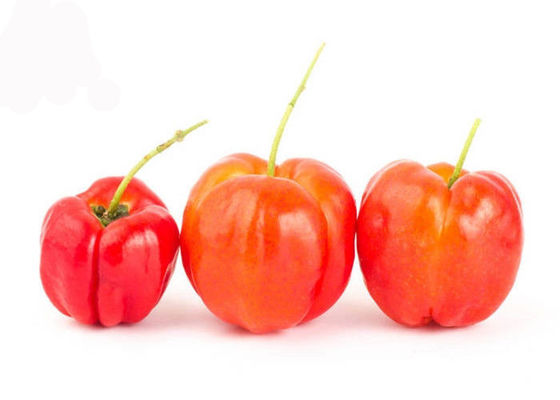 Pó natural do extrato do fruto da cereja do Acerola da vitamina C 17% 25% fornecedor
