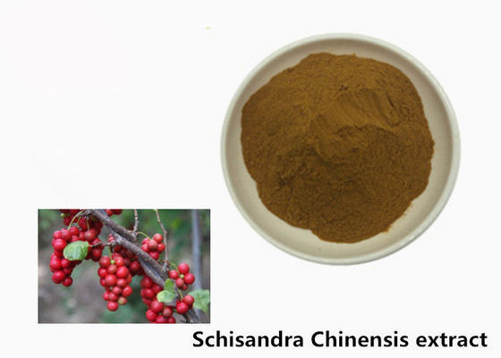 Pó Chinensis do extrato da planta de Hepatoprotective 5,2% Schisandra fornecedor