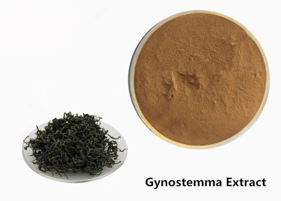Pó erval do extrato de Gynostemma do anti tumor do produto comestível fornecedor