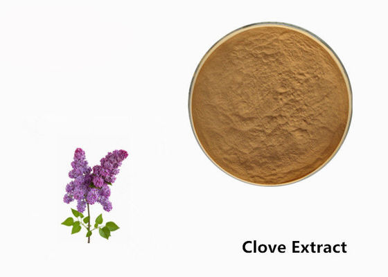 Pó do extrato da planta da flor do cravo-da-índia de Brown para o aditivo de alimento fornecedor