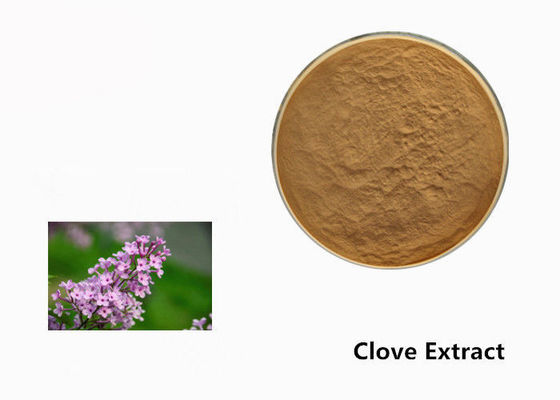 Pó do extrato da planta da flor do cravo-da-índia de Brown para o aditivo de alimento fornecedor