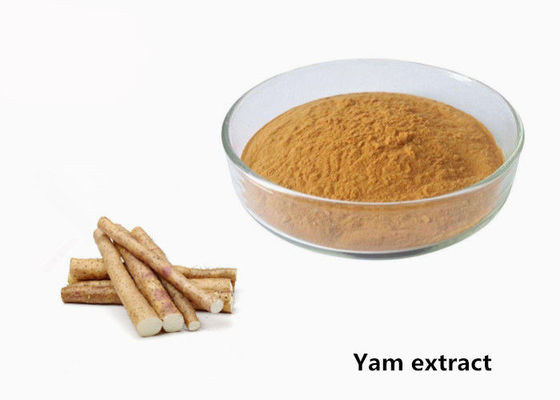 Anti pó natural do extrato da planta de &quot;batata doce&quot; selvagem da fadiga 1kg fornecedor