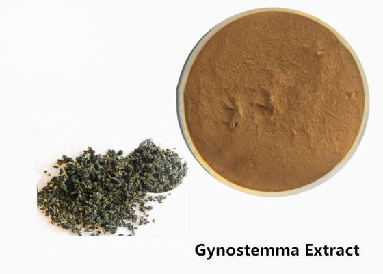Pó erval do extrato de Gynostemma do anti tumor do produto comestível fornecedor