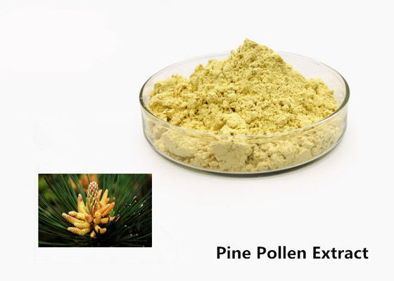 Pó natural do extrato do pólen do pinho dos cuidados médicos 1kg fornecedor