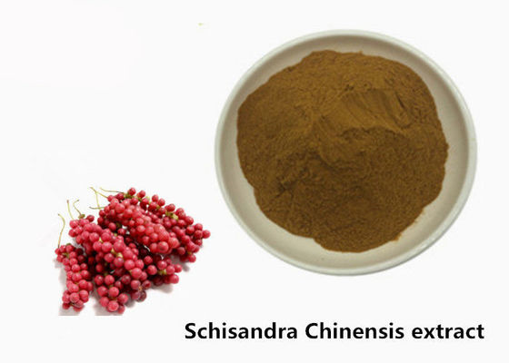 Pó Chinensis do extrato da planta de Hepatoprotective 5,2% Schisandra fornecedor