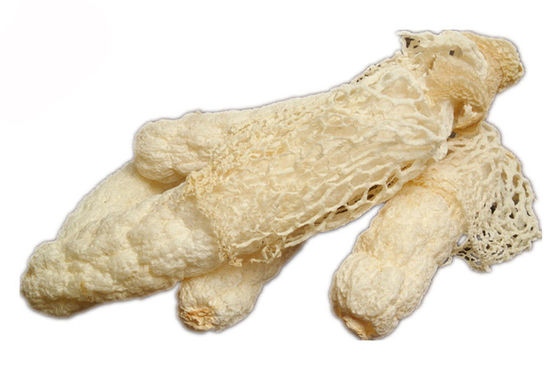 Extrato orgânico de Dictyophora Indusiata fornecedor