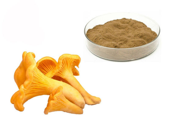 Pó do extrato do cogumelo de Chantarelle dos polisacáridos de 30% fornecedor