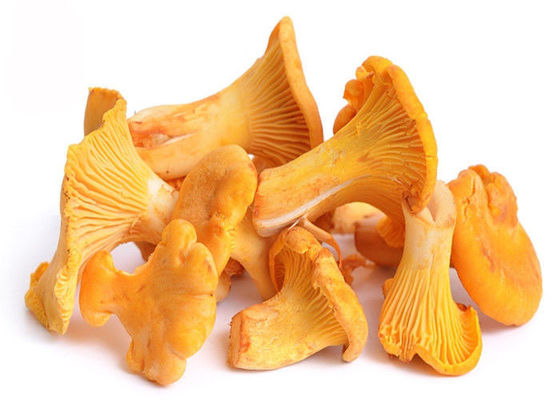 Pó do extrato do cogumelo de Chantarelle dos polisacáridos de 30% fornecedor