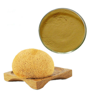Pó viral do cogumelo da juba dos leões orgânicos do anti 50% beta Glucan de D fornecedor