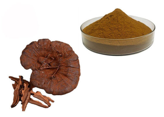 Pó do extrato do cogumelo de Ganoderma Lucidum Reishi da pureza de 50% fornecedor