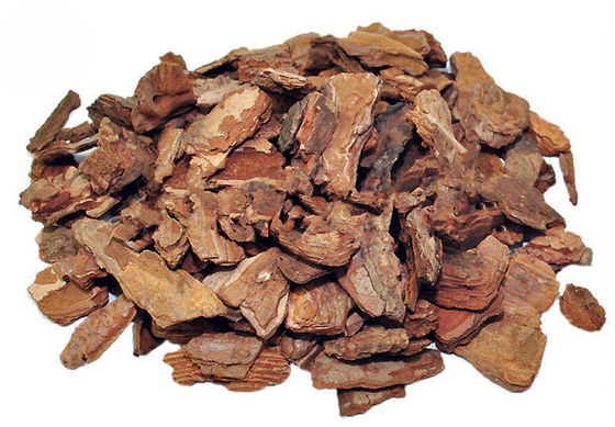 Pó do extrato da casca do pinho de Proanthocyanidins 95% fornecedor