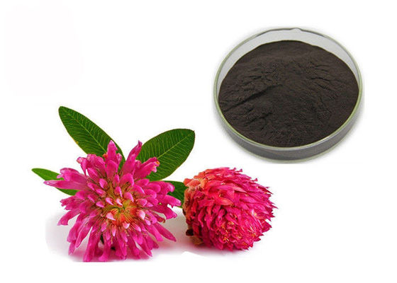 Pó do extrato do trevo vermelho dos Isoflavones da pureza 2,5% 8% 20% 40% fornecedor
