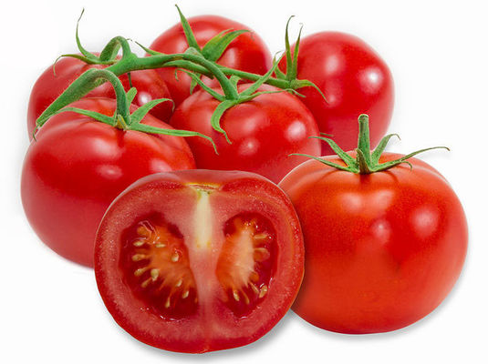 O Lycopene 502-65-8 de 6% 10% 20% desidratou o extrato do fruto do tomate fornecedor