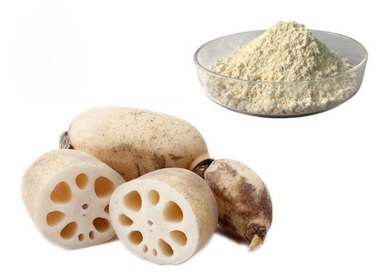 Pó natural puro do extrato do vegetal de raiz de Lotus da substituição da refeição fornecedor