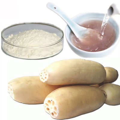 Pó natural puro do extrato do vegetal de raiz de Lotus da substituição da refeição fornecedor