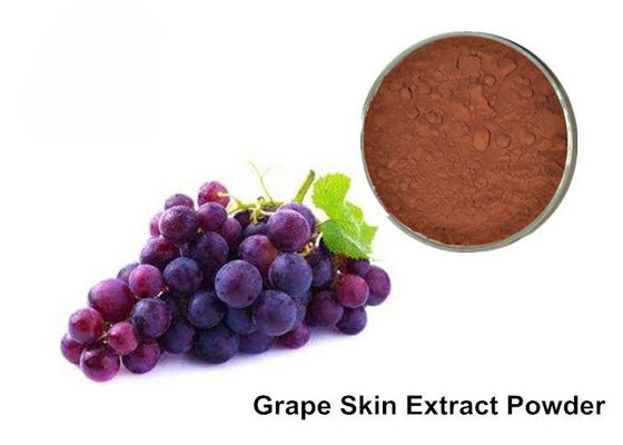 Grapeseed das anticianinas de 25%/pó puros do extrato pele da uva fornecedor