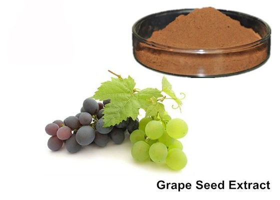 Grapeseed das anticianinas de 25%/pó puros do extrato pele da uva fornecedor