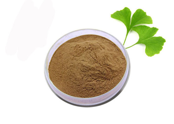 Pó puro do extrato de Biloba da nogueira-do-Japão do anti oxidante da categoria médica fornecedor