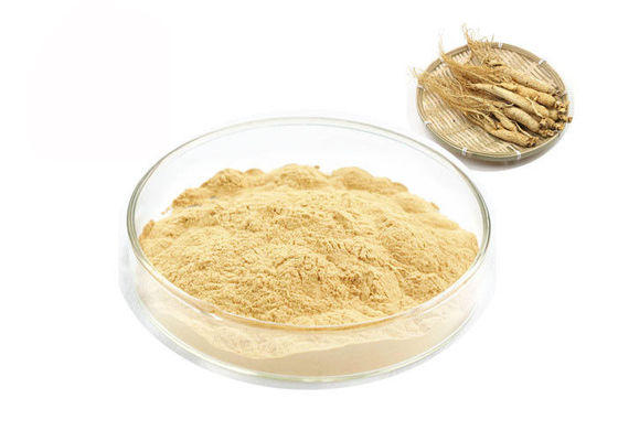 Extrato puro Siberian orgânico do ginsém da raiz 30% 80% Ginsenosides fornecedor