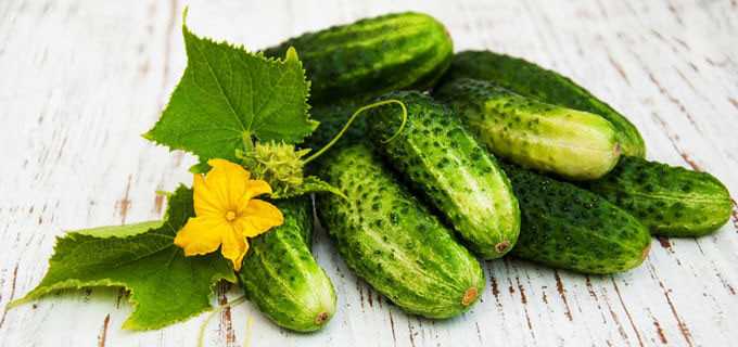 Extrato Sativus do fruto do Cucumis solúvel em água antienvelhecimento para a pele 0