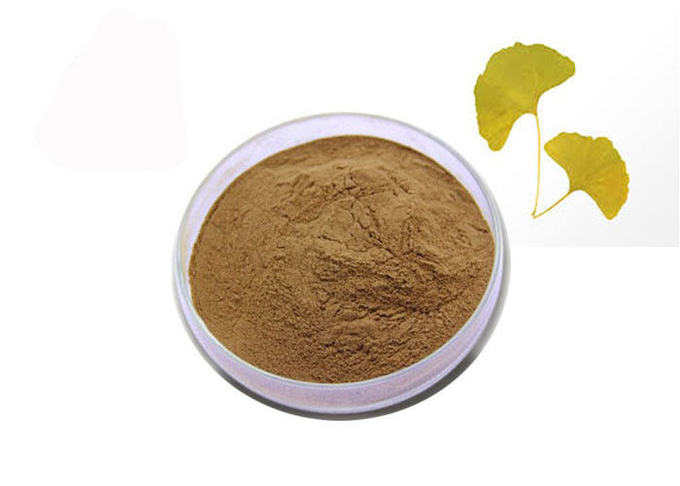 Pó natural puro do extrato de Biloba da nogueira-do-Japão das lactona das flavonas 6% de 24% 0