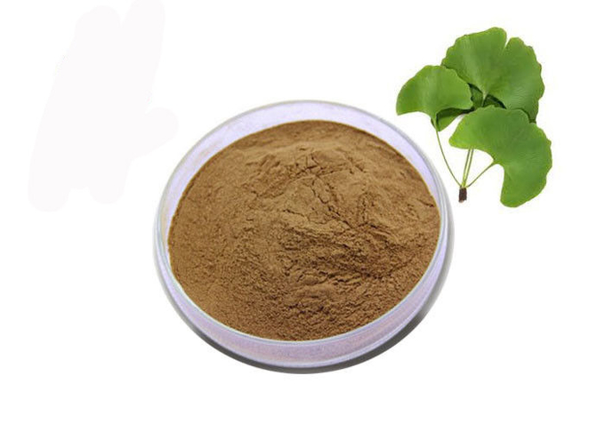 Pó nutritivo do extrato da folha de Biloba da nogueira-do-Japão de Brown do produto comestível 0