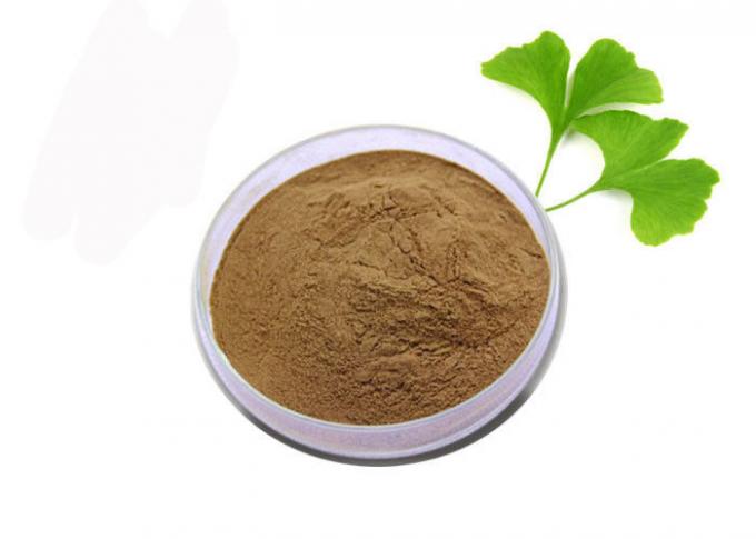 Pó puro do extrato de Biloba da nogueira-do-Japão do anti oxidante da categoria médica 0