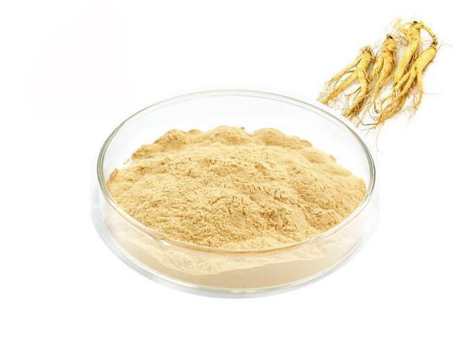 Pó do extrato do ginsém de Panaxoside do produto comestível para produtos da saúde 0