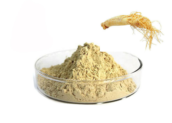 Pó erval puro da raiz do ginsém de CAS 90045-38-8 80% Ginsenosides 0